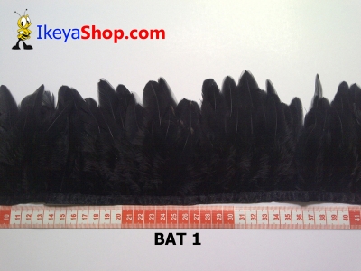 BAT 1  large2